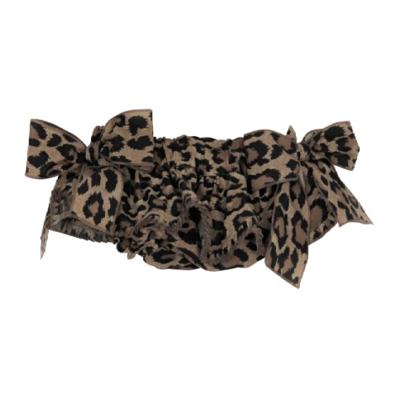 Leopard bloomer Leopard bloomer