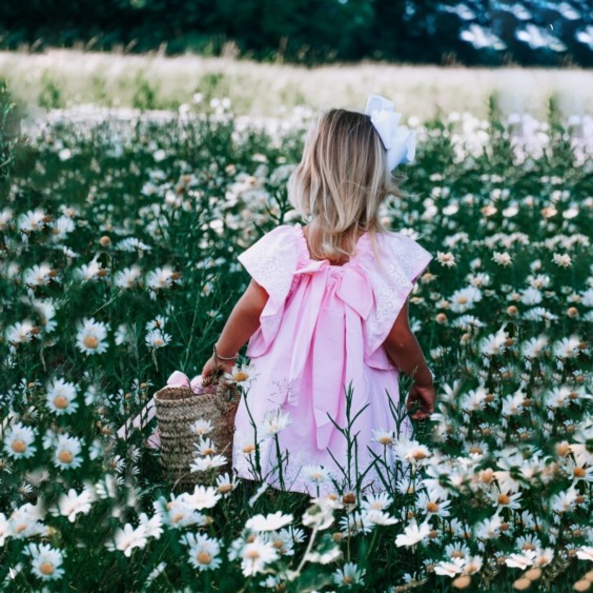 Pink oxford dress