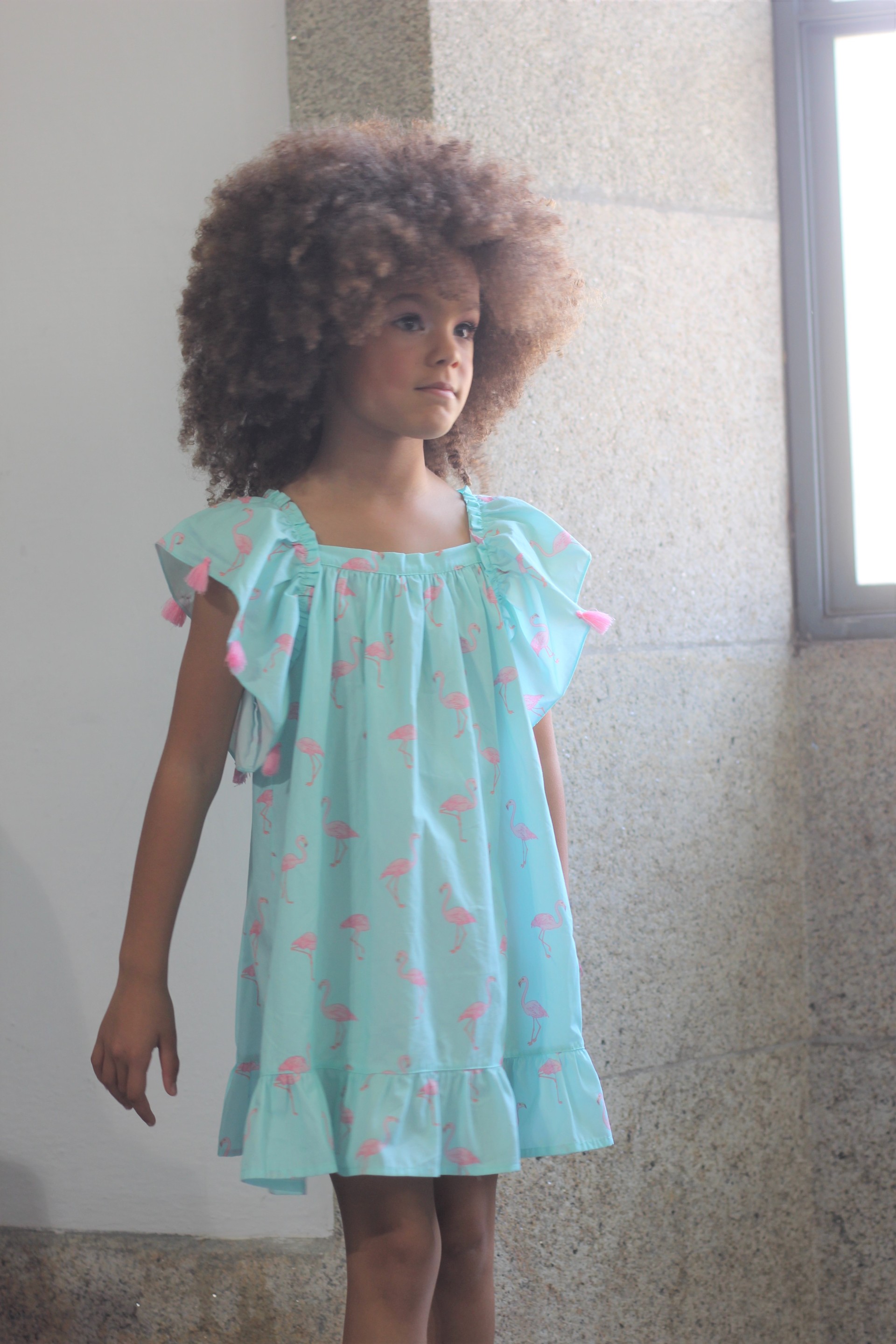Flamingos Dress