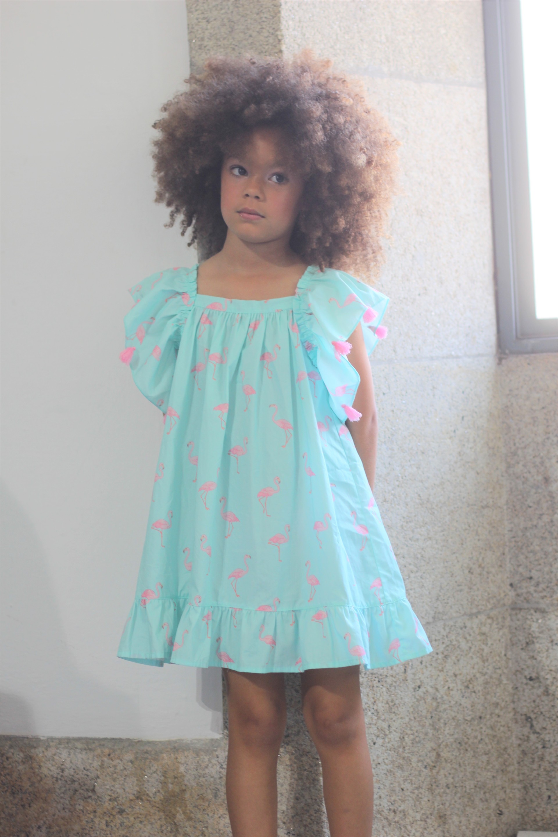 Flamingos Dress