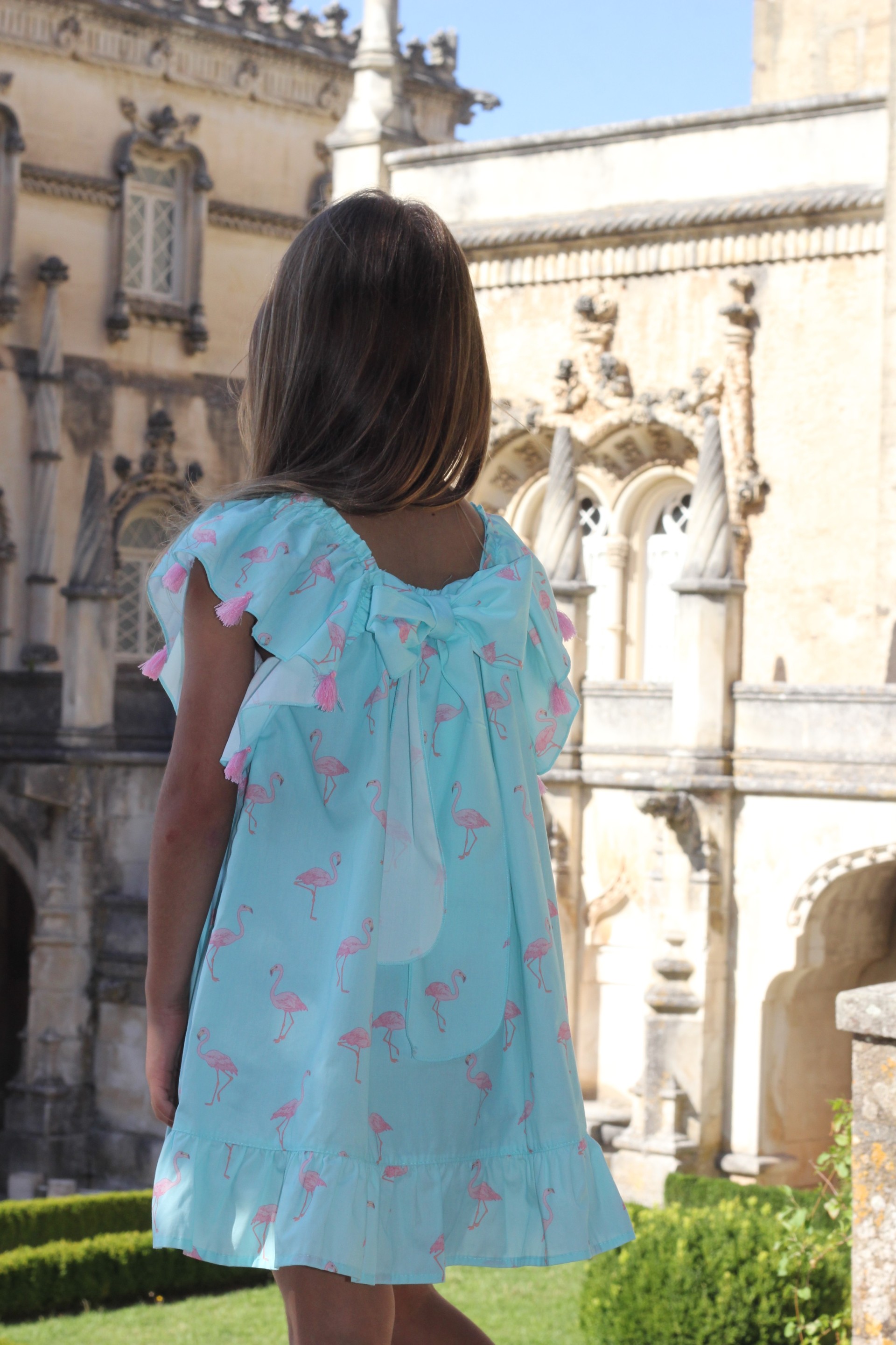 Flamingos Dress