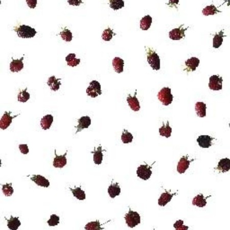 Raspberry Cotton Fabric