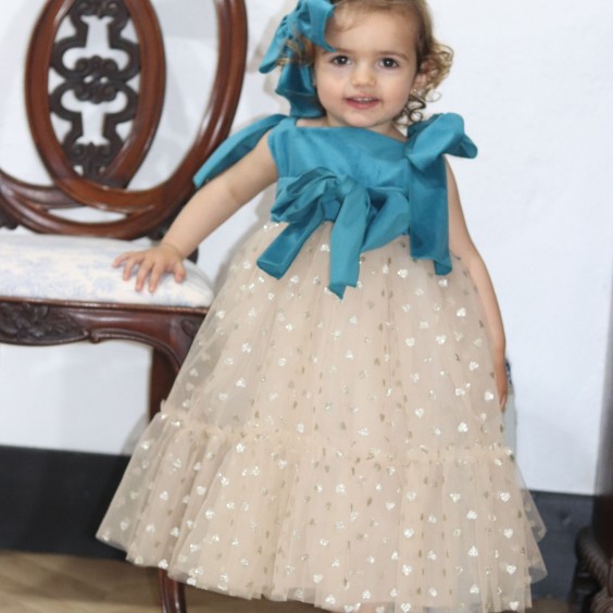 Blue Velvet Dress with tule