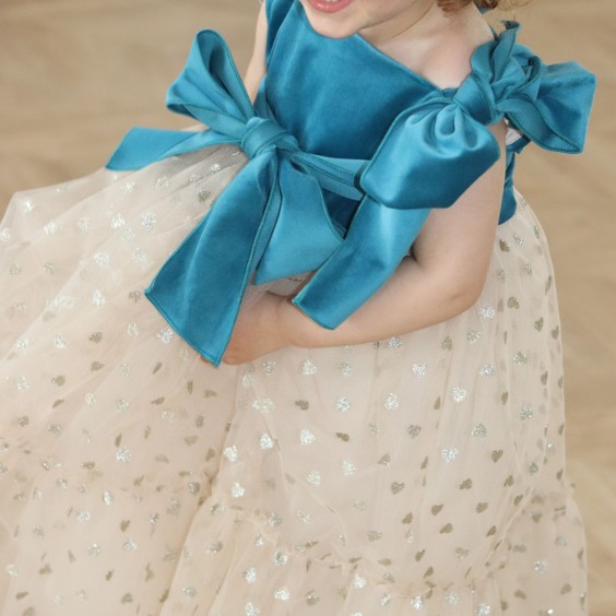 Blue Velvet Dress with tule