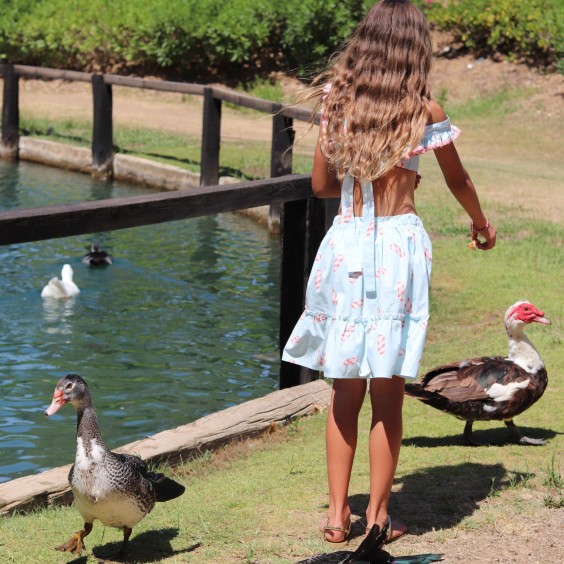 Top gelados fundo azul