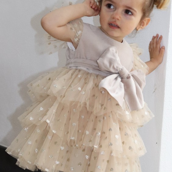 Beige Velvet Dress with tule