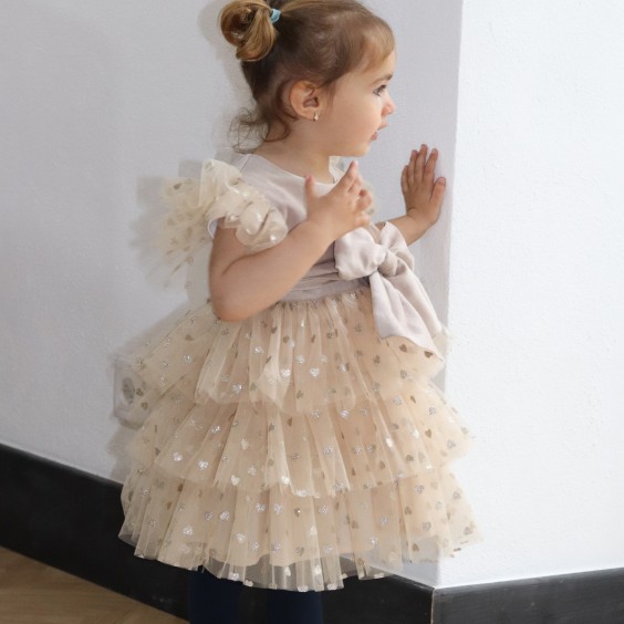 Beige Velvet Dress with tule