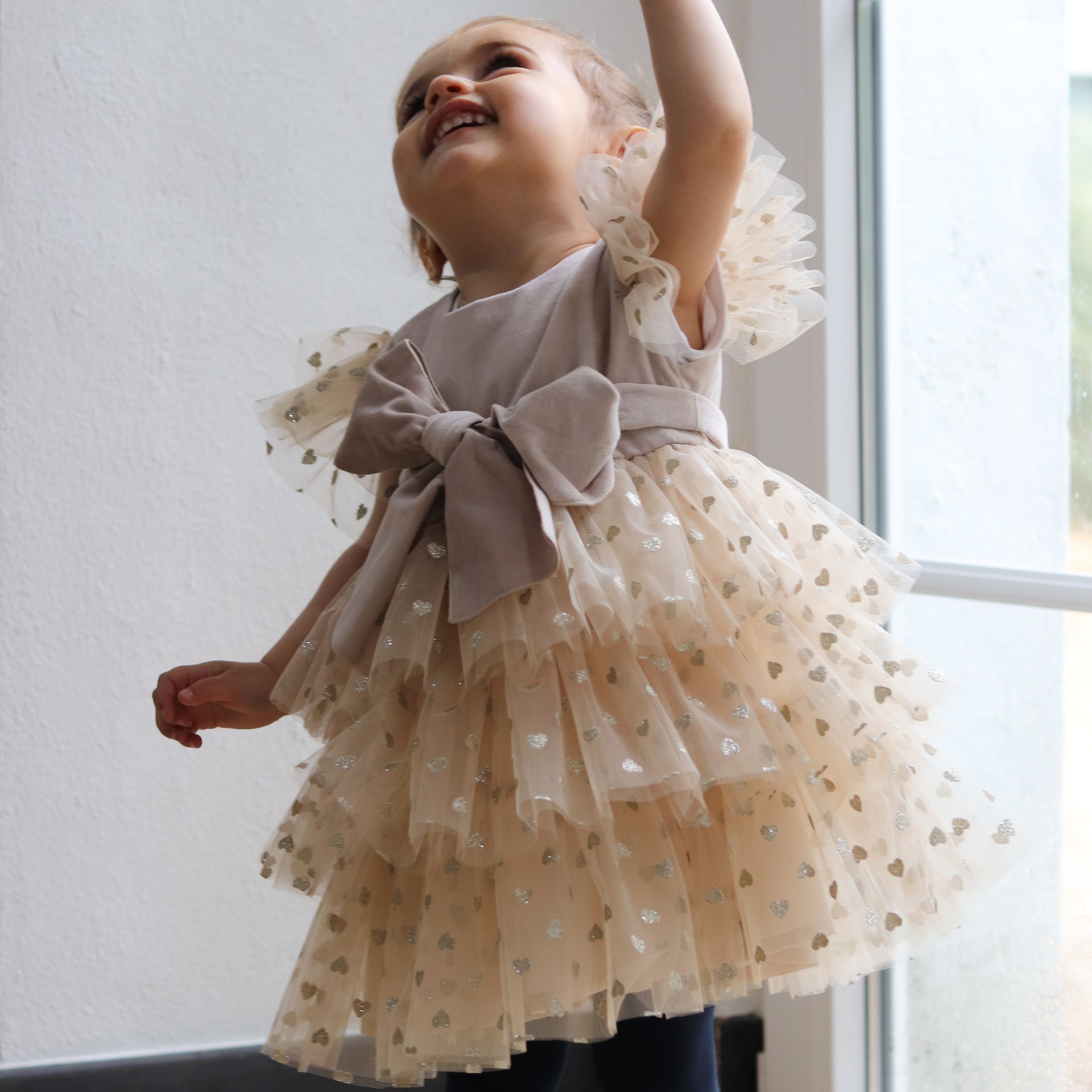 Beige Velvet Dress with tule