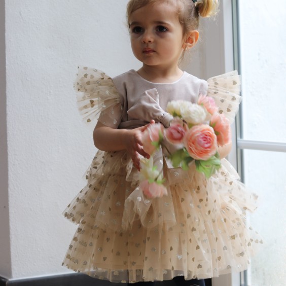 Beige Velvet Dress with tule