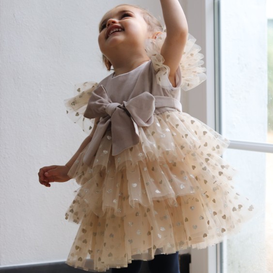 Beige Velvet Dress with tule