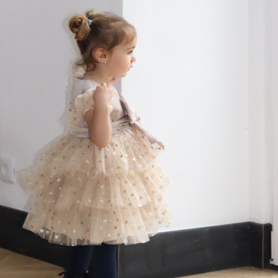 Beige Velvet Dress with tule