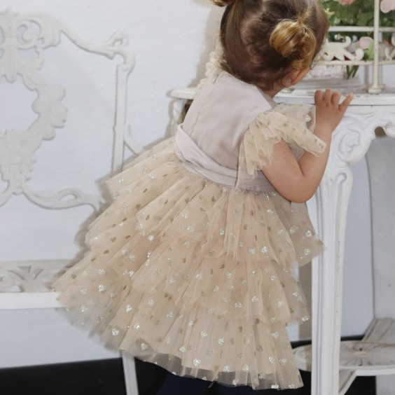 Beige Velvet Dress with tule