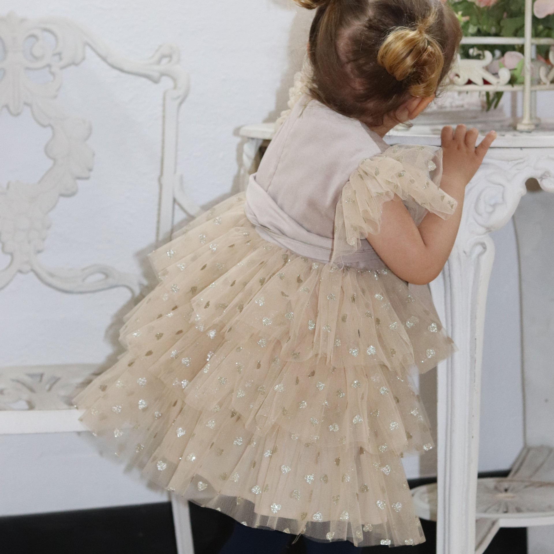 Beige Velvet Dress with tule