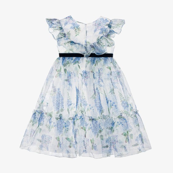 Blue Wisteria Organza Dress