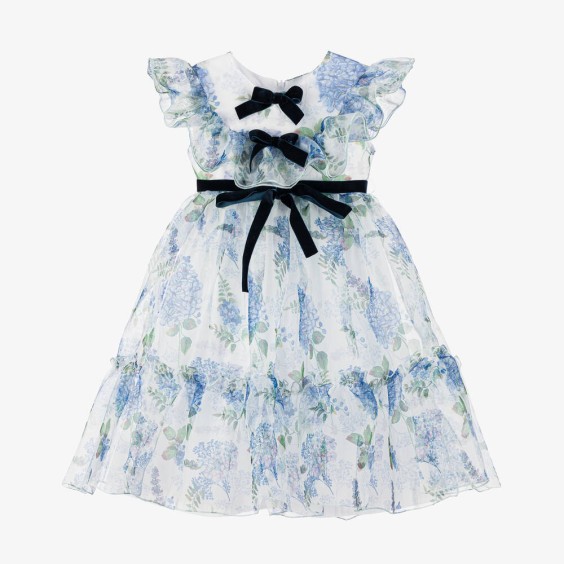 Blue Wisteria Organza Dress