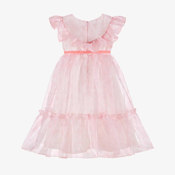 Pink Toile de Jouy organza dress