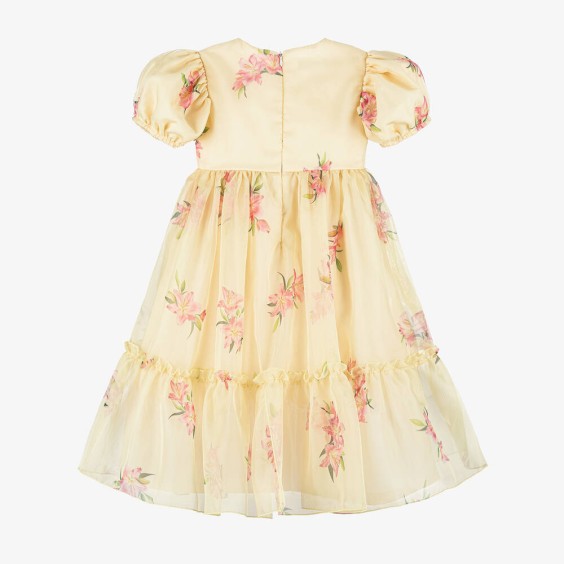 Robe Organza Toile de Jouy Bleue