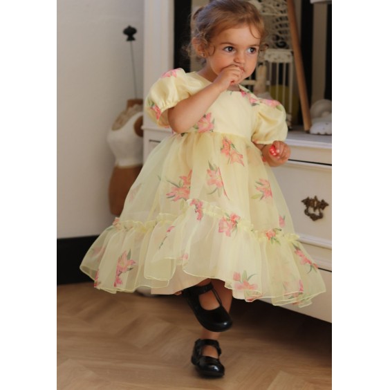 Vestido de Organza Toile de Jouy azul