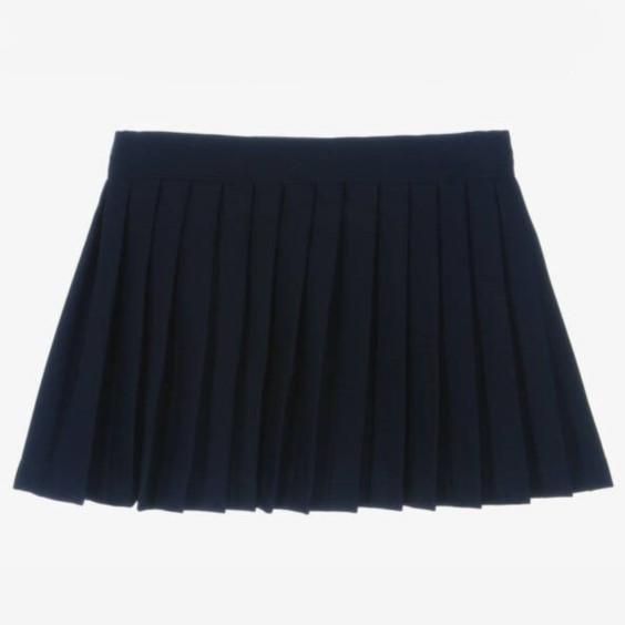 Navy blue pleated skirt