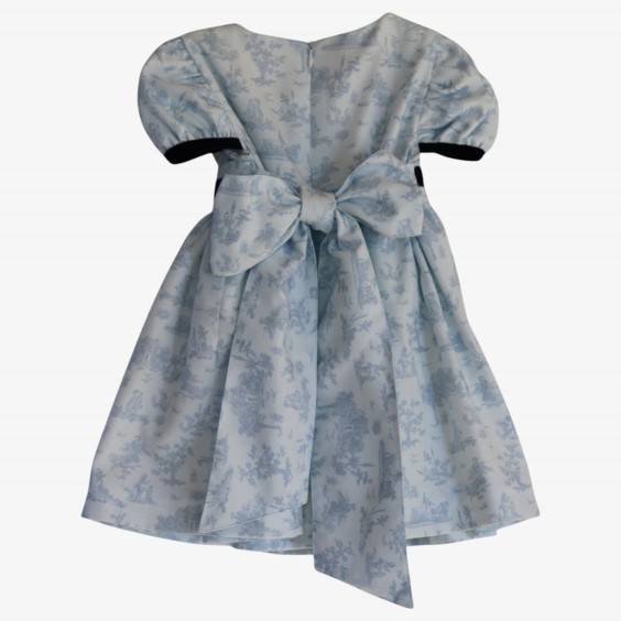 Blue toile de jouy dress