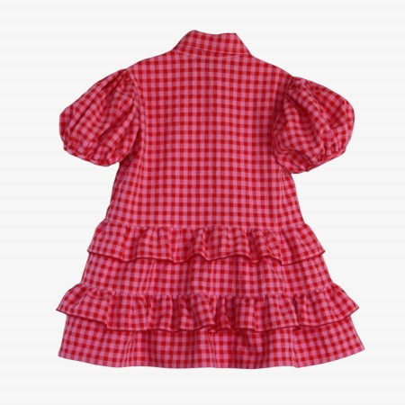 Pink and red gingham dress