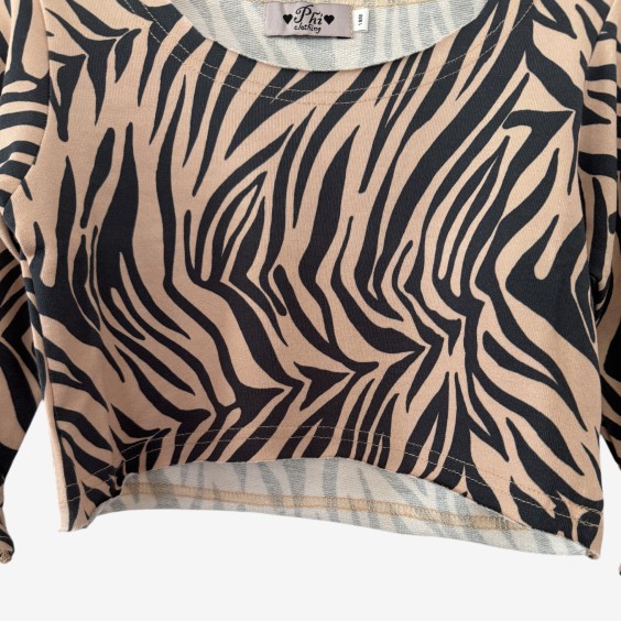Sweat zebra coral