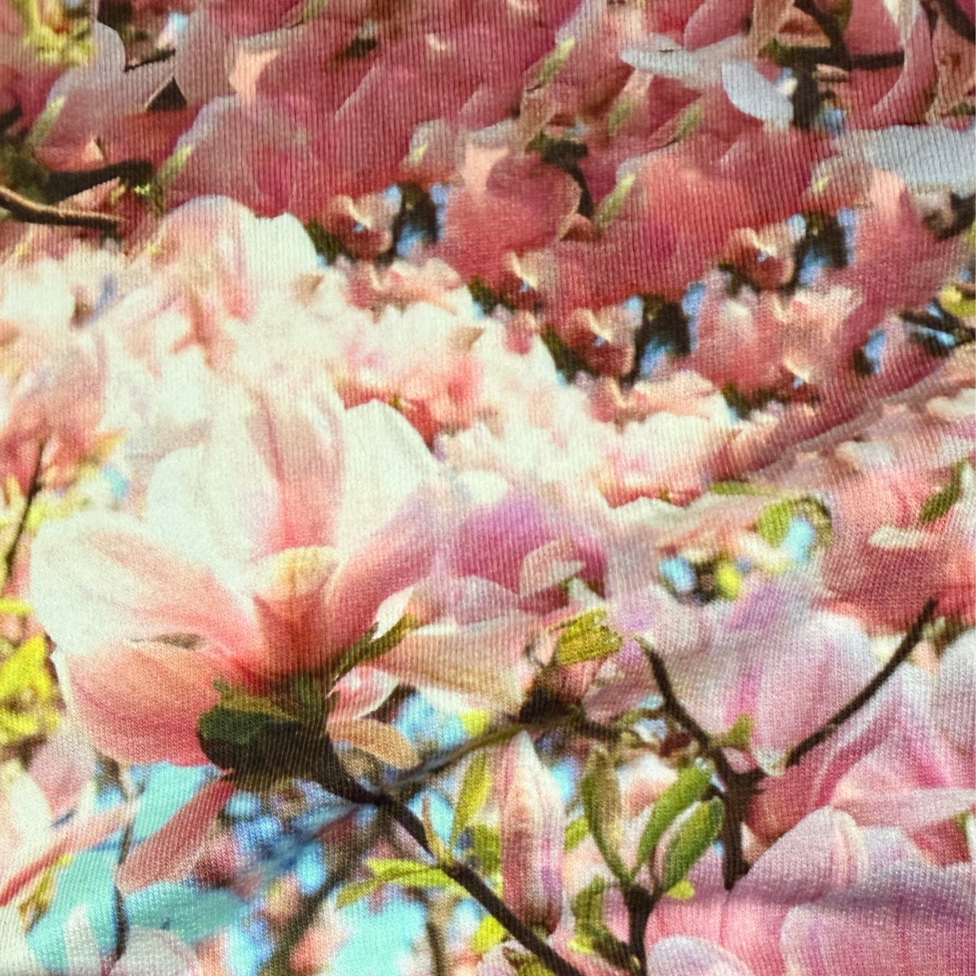 Magnolia sweat